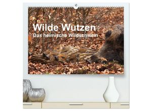 9783435590940 - Wilde Wutzen Das heimische Wildschwein (hochwertiger Premium Wandkalender 2025 DIN A2 quer) Kunstdruck in Hochglanz