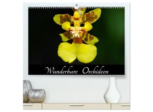 9783435591053 - Wunderbare Orchideen (hochwertiger Premium Wandkalender 2025 DIN A2 quer) Kunstdruck in Hochglanz