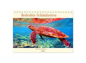 9783435591190 - Meeresschildkröten - Bedrohte Schönheiten (Tischkalender 2025 DIN A5 quer) CALVENDO Monatskalender