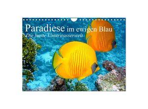 9783435591251 - Paradiese im ewigen Blau Die bunte Unterwasserwelt (Wandkalender 2025 DIN A4 quer) CALVENDO Monatskalender