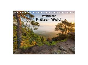 9783435591459 - Mystischer Pfälzer Wald (Tischkalender 2025 DIN A5 quer) CALVENDO Monatskalender