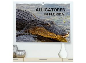 9783435591879 - ALLIGATOREN in Florida (hochwertiger Premium Wandkalender 2025 DIN A2 quer) Kunstdruck in Hochglanz