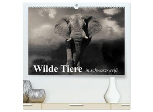 9783435591916 - Wilde Tiere in schwarz-weiß (hochwertiger Premium Wandkalender 2025 DIN A2 quer) Kunstdruck in Hochglanz