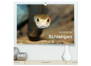 9783435592128 - Gefährliche Schlangen (hochwertiger Premium Wandkalender 2025 DIN A2 quer) Kunstdruck in Hochglanz