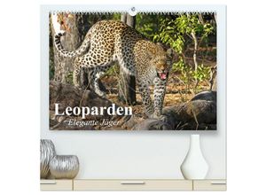 9783435592166 - Leoparden Elegante Jäger (hochwertiger Premium Wandkalender 2025 DIN A2 quer) Kunstdruck in Hochglanz