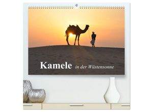 9783435592173 - Kamele in der Wüstensonne (hochwertiger Premium Wandkalender 2025 DIN A2 quer) Kunstdruck in Hochglanz