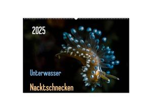 9783435592234 - Unterwasser - Nacktschnecken 2025 (Wandkalender 2025 DIN A2 quer) CALVENDO Monatskalender