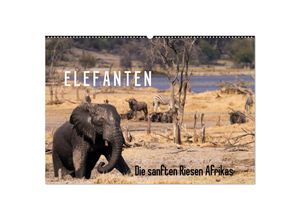 9783435592333 - Elefanten - Die sanften Riesen Afrikas (Wandkalender 2025 DIN A2 quer) CALVENDO Monatskalender