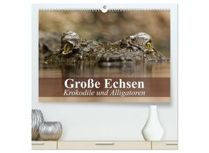 9783435592364 - Große Echsen Krokodile und Alligatoren (hochwertiger Premium Wandkalender 2025 DIN A2 quer) Kunstdruck in Hochglanz