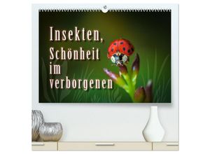 9783435592524 - Insekten Schönheit im verborgenen (hochwertiger Premium Wandkalender 2025 DIN A2 quer) Kunstdruck in Hochglanz