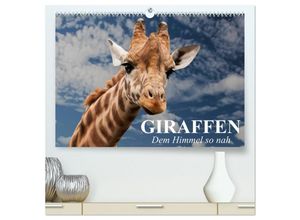 9783435593064 - Giraffen Dem Himmel so nah (hochwertiger Premium Wandkalender 2025 DIN A2 quer) Kunstdruck in Hochglanz