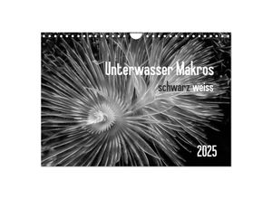 9783435593491 - Unterwasser Makros - schwarz weiss 2025 (Wandkalender 2025 DIN A4 quer) CALVENDO Monatskalender