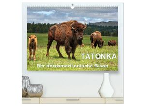 9783435594474 - TATONKA Der nordamerikanische Bison (hochwertiger Premium Wandkalender 2025 DIN A2 quer) Kunstdruck in Hochglanz