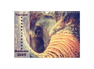 9783435595075 - Tierisch ERGREIFENDE Momente 2025 (Wandkalender 2025 DIN A4 quer) CALVENDO Monatskalender