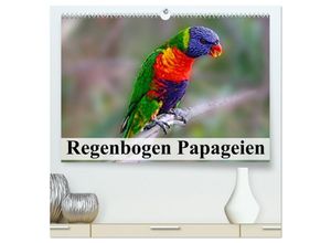 9783435595105 - Regenbogen Papageien (hochwertiger Premium Wandkalender 2025 DIN A2 quer) Kunstdruck in Hochglanz