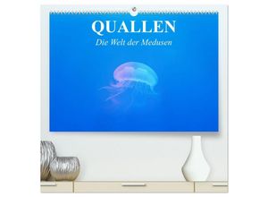 9783435595266 - Quallen Die Welt der Medusen (hochwertiger Premium Wandkalender 2025 DIN A2 quer) Kunstdruck in Hochglanz