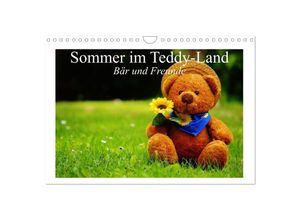 9783435595303 - Sommer im Teddy-Land Bär und Freunde (Wandkalender 2025 DIN A4 quer) CALVENDO Monatskalender