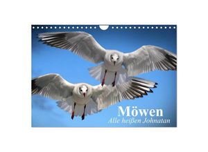 9783435595471 - Möwen Alle heißen Johnatan (Wandkalender 2025 DIN A4 quer) CALVENDO Monatskalender