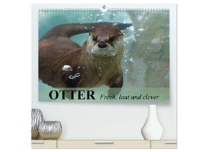 9783435596119 - Otter Frech laut und clever (hochwertiger Premium Wandkalender 2025 DIN A2 quer) Kunstdruck in Hochglanz