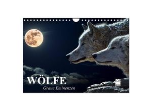 9783435596720 - Wölfe Graue Eminenzen (Wandkalender 2025 DIN A4 quer) CALVENDO Monatskalender