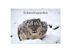 9783435597109 - Schneeleoparden (Tischkalender 2025 DIN A5 quer) CALVENDO Monatskalender