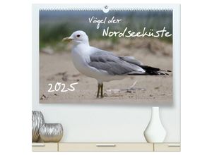 9783435597116 - Vögel der Nordseeküste (hochwertiger Premium Wandkalender 2025 DIN A2 quer) Kunstdruck in Hochglanz