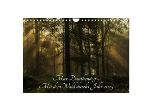 9783435597420 - Max Dauthendey - Mit dem Wald durchs Jahr (Wandkalender 2025 DIN A4 quer) CALVENDO Monatskalender