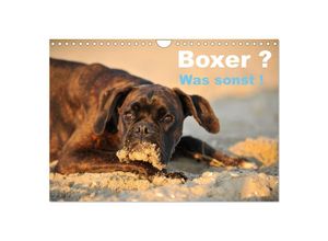 9783435597789 - Boxer ? Was sonst ! (Wandkalender 2025 DIN A4 quer) CALVENDO Monatskalender