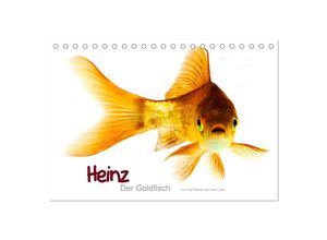 9783435598588 - Heinz - Der Goldfisch (Tischkalender 2025 DIN A5 quer) CALVENDO Monatskalender