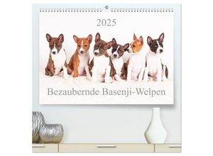 9783435598687 - Bezaubernde Basenji-Welpen (hochwertiger Premium Wandkalender 2025 DIN A2 quer) Kunstdruck in Hochglanz