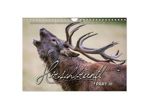 9783435598700 - Emotionale Momente Hirschbrunft Part III (Wandkalender 2025 DIN A4 quer) CALVENDO Monatskalender