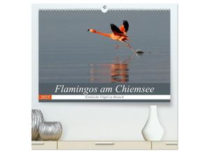 9783435598748 - Flamingos am Chiemsee (hochwertiger Premium Wandkalender 2025 DIN A2 quer) Kunstdruck in Hochglanz