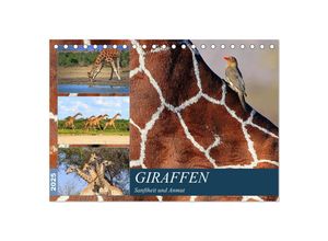 9783435598847 - Giraffen - Sanftheit und Anmut (Tischkalender 2025 DIN A5 quer) CALVENDO Monatskalender