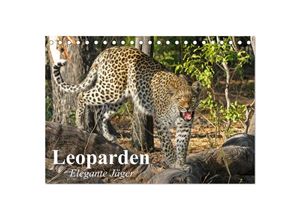 9783435599585 - Leoparden Elegante Jäger (Tischkalender 2025 DIN A5 quer) CALVENDO Monatskalender