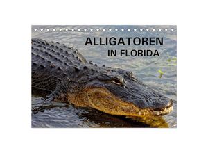 9783435599622 - ALLIGATOREN in Florida (Tischkalender 2025 DIN A5 quer) CALVENDO Monatskalender