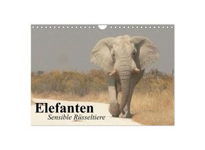 9783435599806 - Elefanten Sensible Rüsseltiere (Wandkalender 2025 DIN A4 quer) CALVENDO Monatskalender