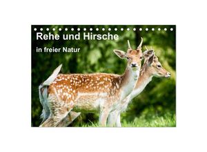 9783435600236 - Rehe und Hirsche in freier Natur (Tischkalender 2025 DIN A5 quer) CALVENDO Monatskalender