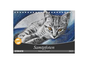 9783435600601 - Samtpfoten - Katzen in Pastell (Tischkalender 2025 DIN A5 quer) CALVENDO Monatskalender