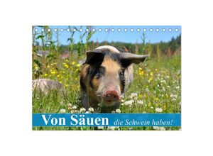 9783435600885 - Von Säuen die Schwein haben! (Tischkalender 2025 DIN A5 quer) CALVENDO Monatskalender