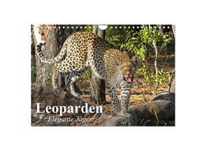 9783435600908 - Leoparden Elegante Jäger (Wandkalender 2025 DIN A4 quer) CALVENDO Monatskalender