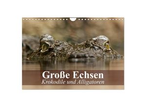 9783435601233 - Große Echsen Krokodile und Alligatoren (Wandkalender 2025 DIN A4 quer) CALVENDO Monatskalender