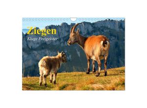 9783435601271 - Ziegen Kluge Freigeister (Wandkalender 2025 DIN A4 quer) CALVENDO Monatskalender