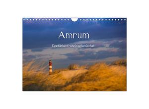 9783435601738 - Amrum - Eine farbenfrohe Insellandschaft (Wandkalender 2025 DIN A4 quer) CALVENDO Monatskalender