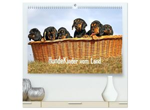 9783435601844 - Hundekinder vom Land (hochwertiger Premium Wandkalender 2025 DIN A2 quer) Kunstdruck in Hochglanz