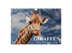 9783435602544 - Giraffen Dem Himmel so nah (Wandkalender 2025 DIN A4 quer) CALVENDO Monatskalender