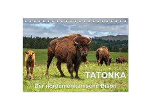 9783435603459 - TATONKA Der nordamerikanische Bison (Tischkalender 2025 DIN A5 quer) CALVENDO Monatskalender