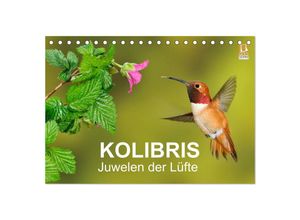 9783435603534 - Kolibris - Juwelen der Lüfte (Tischkalender 2025 DIN A5 quer) CALVENDO Monatskalender