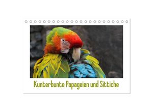 9783435603602 - Kunterbunte Papageien und Sittiche (Tischkalender 2025 DIN A5 quer) CALVENDO Monatskalender