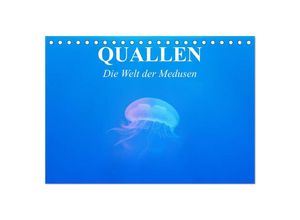 9783435603671 - Quallen Die Welt der Medusen (Tischkalender 2025 DIN A5 quer) CALVENDO Monatskalender