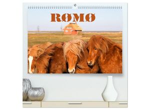 9783435603800 - Rømø (hochwertiger Premium Wandkalender 2025 DIN A2 quer) Kunstdruck in Hochglanz